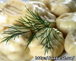 http://aaaa.at.ua/